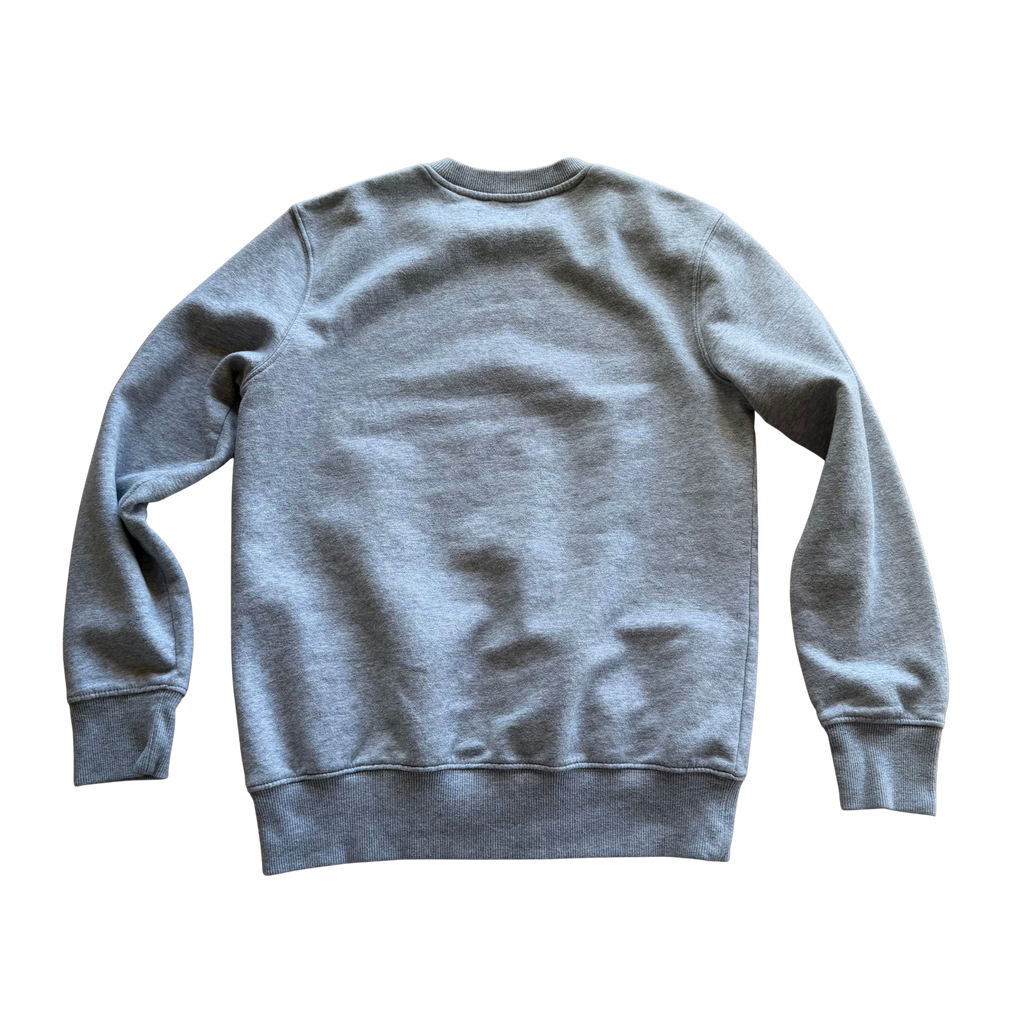 Grey sweatshirt with swan print